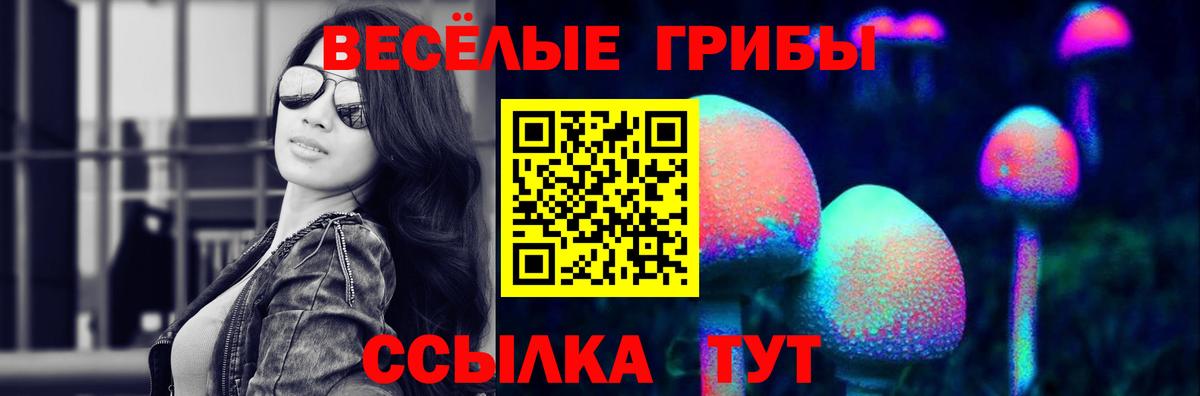 Псилоцибиновые грибы MAGIC MUSHROOMS Великий Устюг